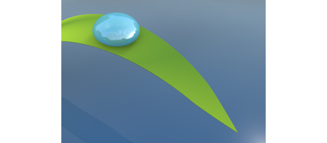 湖｜水滴｜葉 | 環境 | 自然 | エネルギー | 災害 - エネルギー / 地球 / 自然 / 環境 / 写真 / イラスト / フリー素材 / ダウンロード