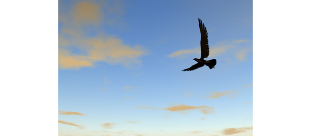 鷹｜青空素材 | 環境・自然・エネルギー・災害 - エネルギー / 地球 / 自然 / 環境 / 写真 / イラスト / フリー素材 / ダウンロード