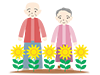 Sunflower ｜ Flower ｜ Grandfather ｜ Grandma --Free Illustration ｜ People / Seasons / Events