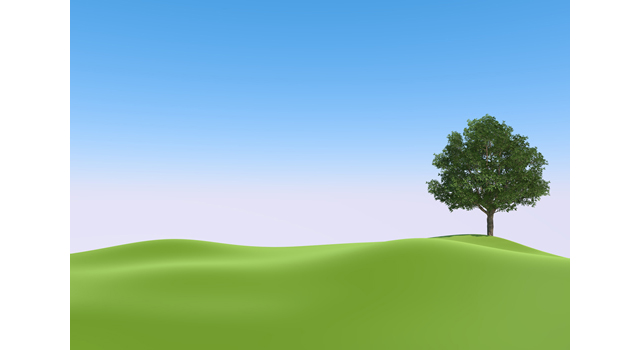 平原｜木｜芝生 - エネルギー / 地球 / 自然 / 環境 / 写真 / イラスト / フリー素材 / ダウンロード