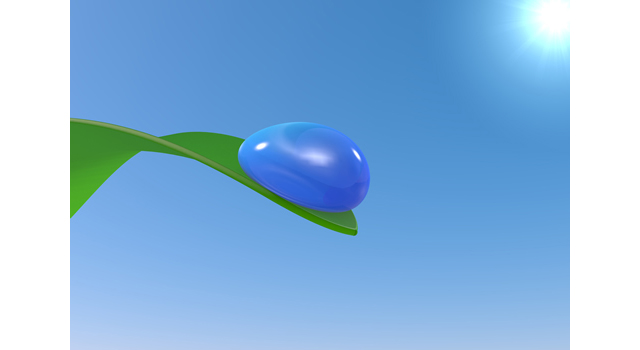 水滴｜草｜太陽 | 環境・自然・エネルギー・災害素材 - エネルギー / 地球 / 自然 / 環境 / 写真 / イラスト / フリー素材 / ダウンロード