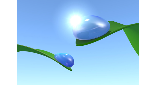 水滴/太陽/反射｜水｜雑草  | 環境・自然・エネルギー・災害 - エネルギー / 地球 / 自然 / 環境 / 写真 / イラスト / フリー素材 / ダウンロード