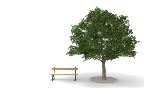 ベンチ/木｜大木｜公園 | 環境 | 自然 | エネルギー | 災害 - エネルギー / 地球 / 自然 / 環境 / 写真 / イラスト / フリー素材 / ダウンロード