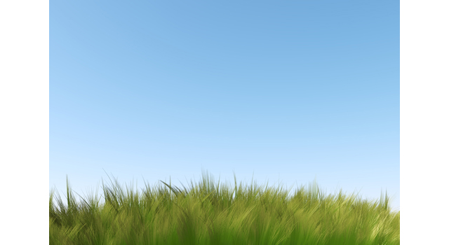 青空｜草花｜気分爽快 | 環境・自然・エネルギー・災害素材 - エネルギー / 地球 / 自然 / 環境 / 写真 / イラスト / フリー素材 / ダウンロード