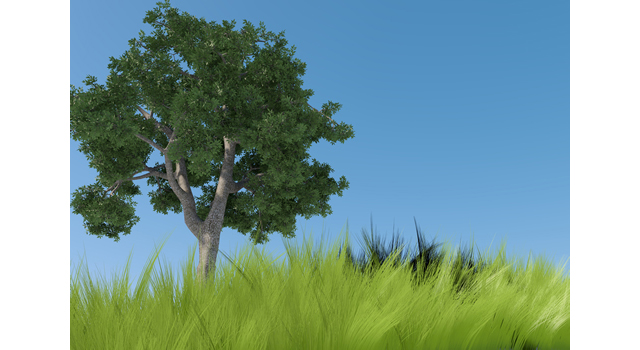 木/草｜大空｜休日/風景  | 環境・自然・エネルギー・災害 - エネルギー / 地球 / 自然 / 環境 / 写真 / イラスト / フリー素材 / ダウンロード