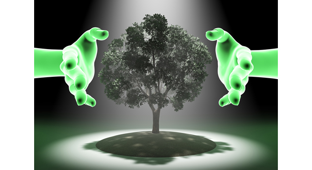 自然の力｜両手/エネルギー｜スポットライト/照らす | 環境・自然・エネルギー・災害 - エネルギー / 地球 / 自然 / 環境 / 写真 / イラスト / フリー素材 / ダウンロード