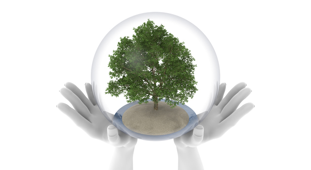 クリーンエネルギー｜両手/力｜水/木/球体 | 環境・自然・エネルギー・災害素材 - エネルギー / 地球 / 自然 / 環境 / 写真 / イラスト / フリー素材 / ダウンロード