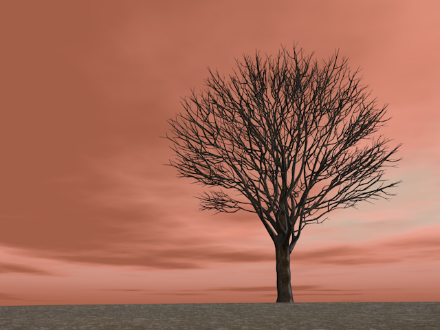 枯れ木 | 干ばつ | 荒れ地 | 森林 | 環境・自然・エネルギー・災害素材 - エネルギー / 地球 / 自然 / 環境 / 写真 / イラスト / フリー素材 / ダウンロード