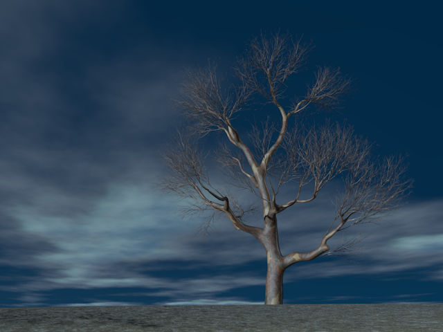 枯れ木 | 干ばつ | 荒れ地 | 森林  | 環境・自然・エネルギー・災害 - エネルギー / 地球 / 自然 / 環境 / 写真 / イラスト / フリー素材 / ダウンロード