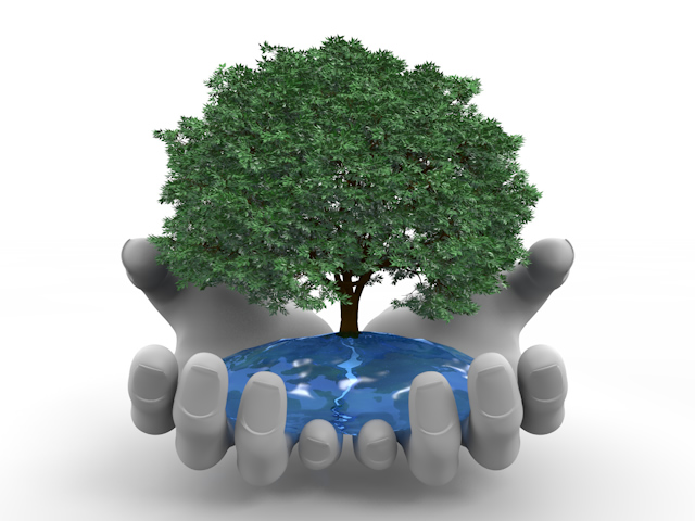 手 | 包み込む | 木 | 環境 | 自然 | エネルギー | 災害 - エネルギー / 地球 / 自然 / 環境 / 写真 / イラスト / フリー素材 / ダウンロード