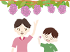 Grape ｜ Grape picking ｜ Delicious --Free illustrations ｜ People / seasons / events